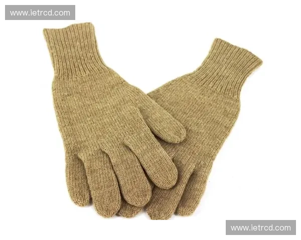 接球手套的选择与使用技巧揭秘 如何挑选适合自己的完美手套